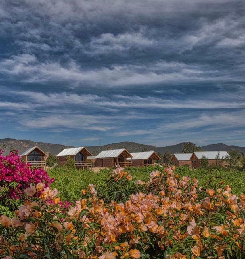Don Tomas Vinedo Cabanas Valle de Guadalupe Exteriér fotografie